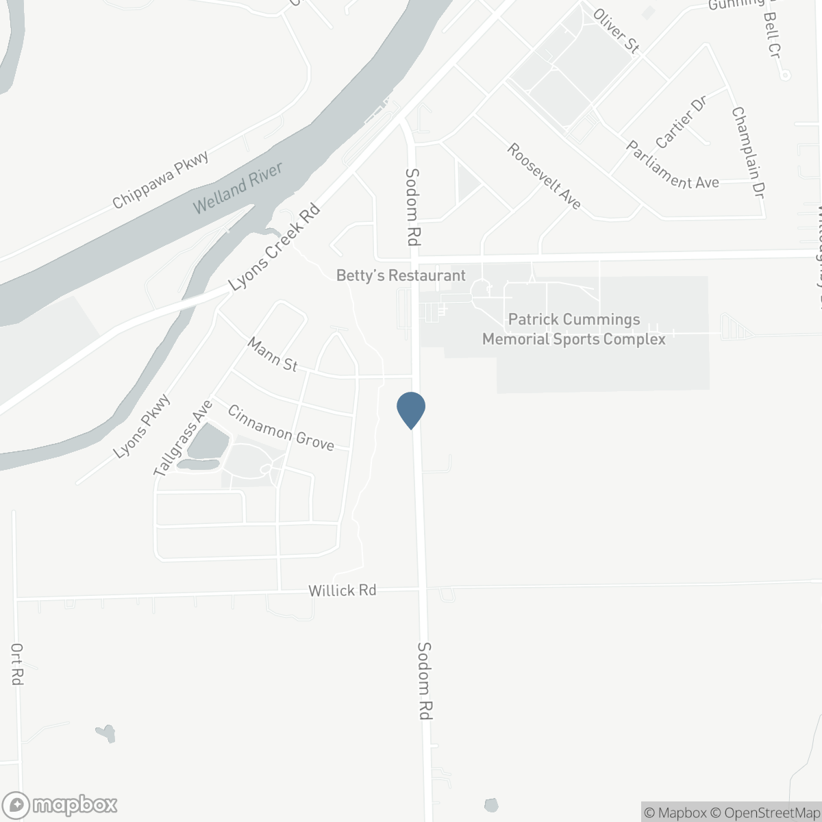 9125 SODOM Road, Niagara Falls, Ontario L2E 6S6